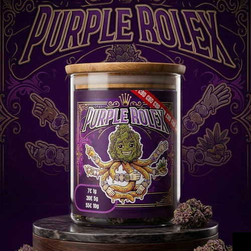 Purple Rolex CBD
