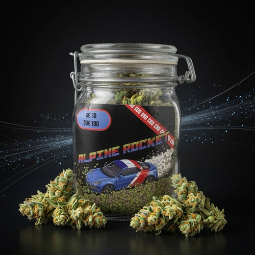 Alpine Rocket CBD