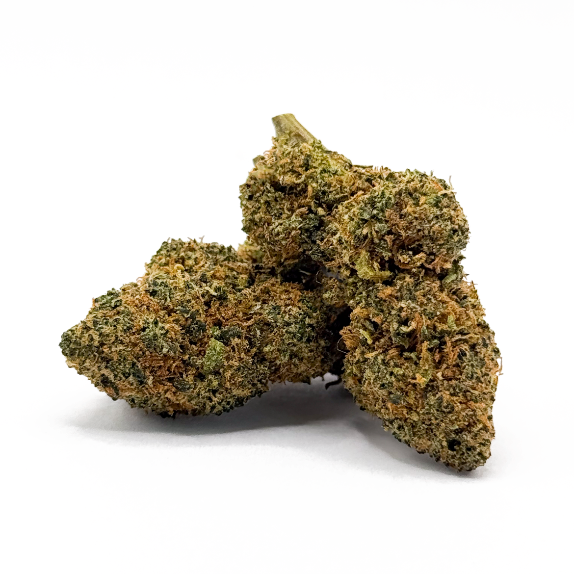MANGOR HAZE AMR