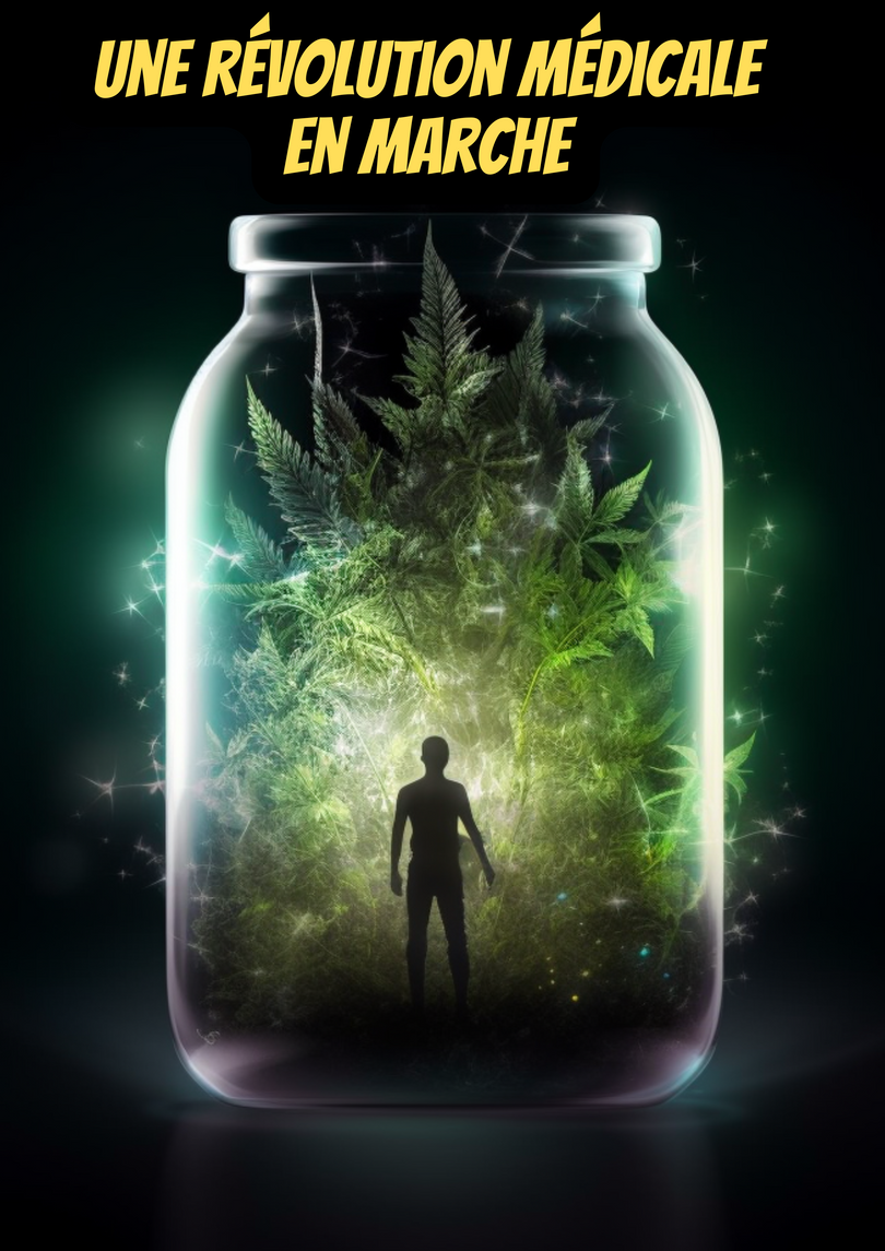 Phytothérapie moderne : CBD et cannabinoïdes non-psychoactifs, une révolution médicale en marche ?