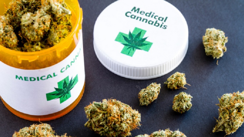 L'avenir du cannabis médical en France : état des lieux et perspectives