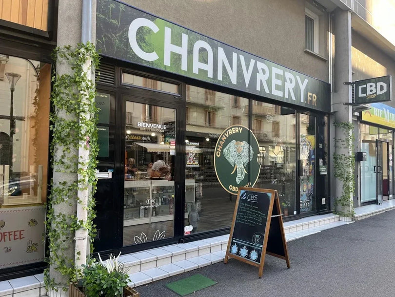 Où acheter du CBD à Chambéry : le guide complet pour bien choisir en 2026