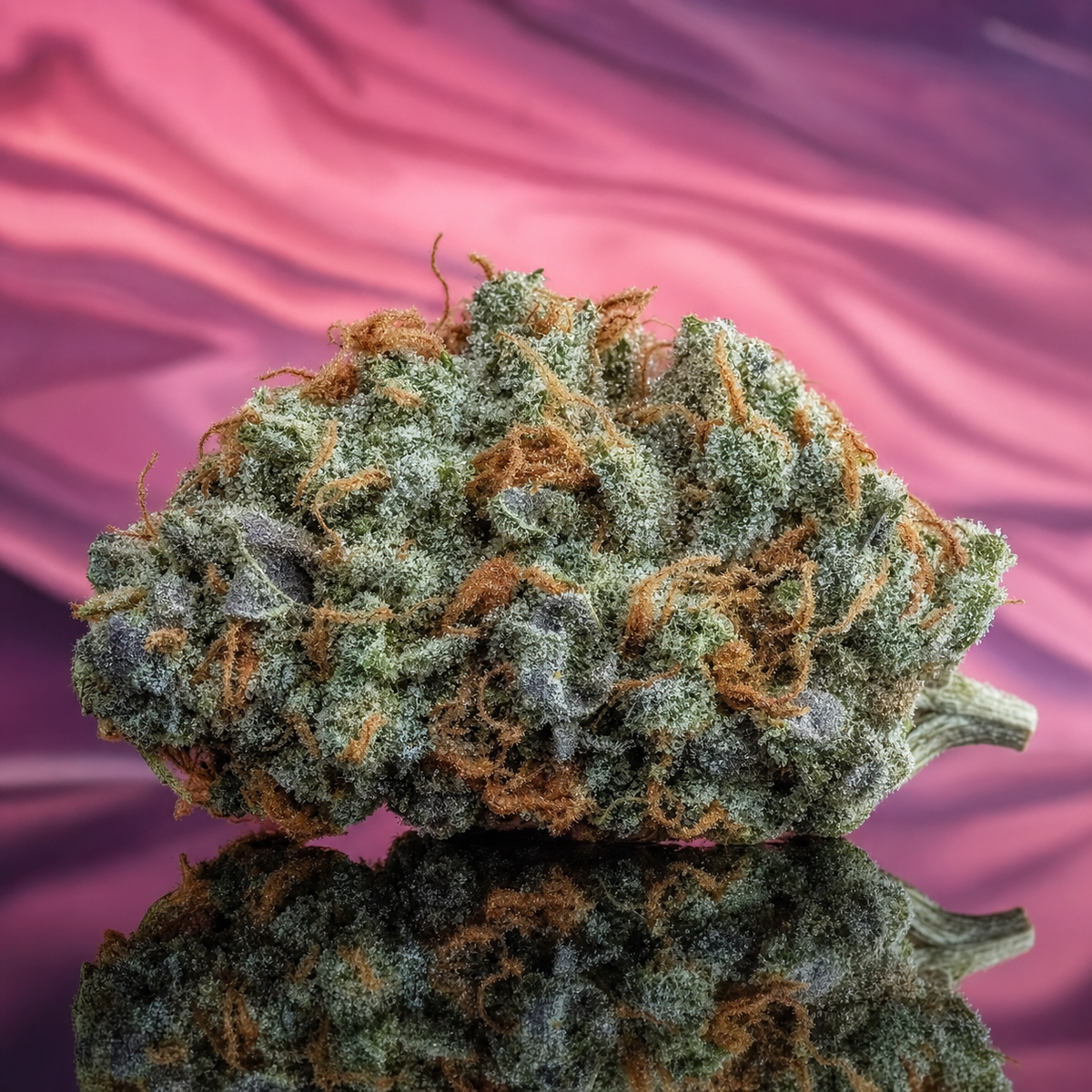 Mango Kush CBD cigarette - macro photography premium