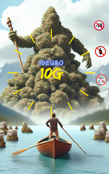 🌳 MR. BIG BUD – PROMO (20€ / 10g)