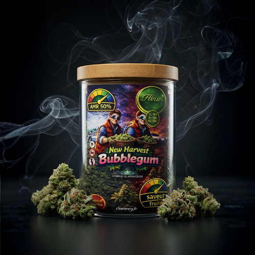 BUBBLEGUM MAX (Copy)