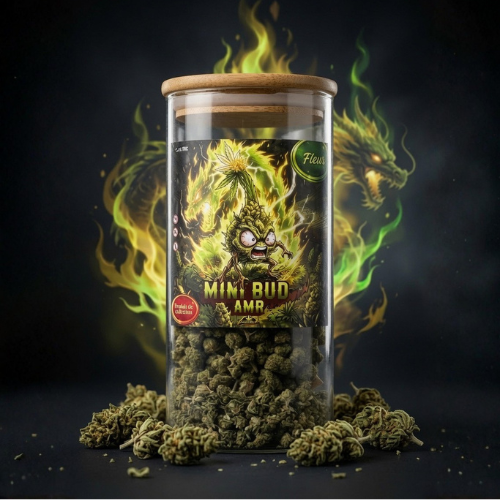 MINI BUD AMR