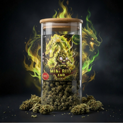 MINI BUD AMR