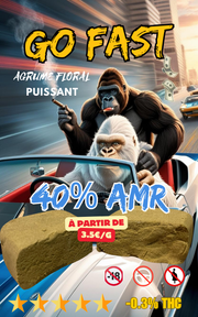 GO FAST 40% AMR