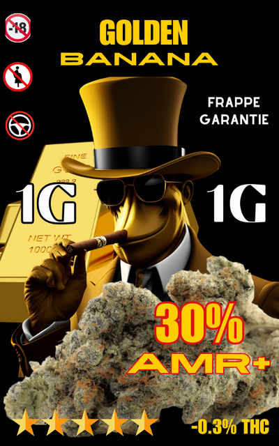 GOLDEN BANANA 30% AMR+