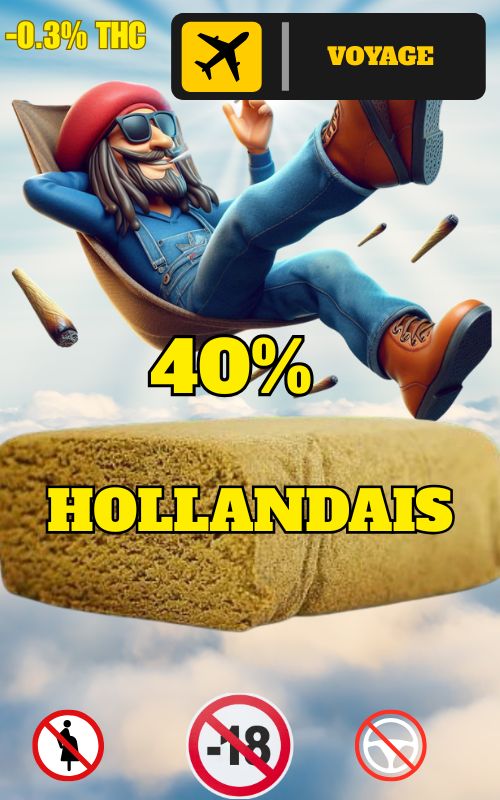 HOLLANDAIS 40%