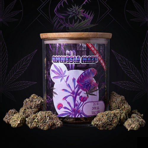 Amnésia Haze CBD
