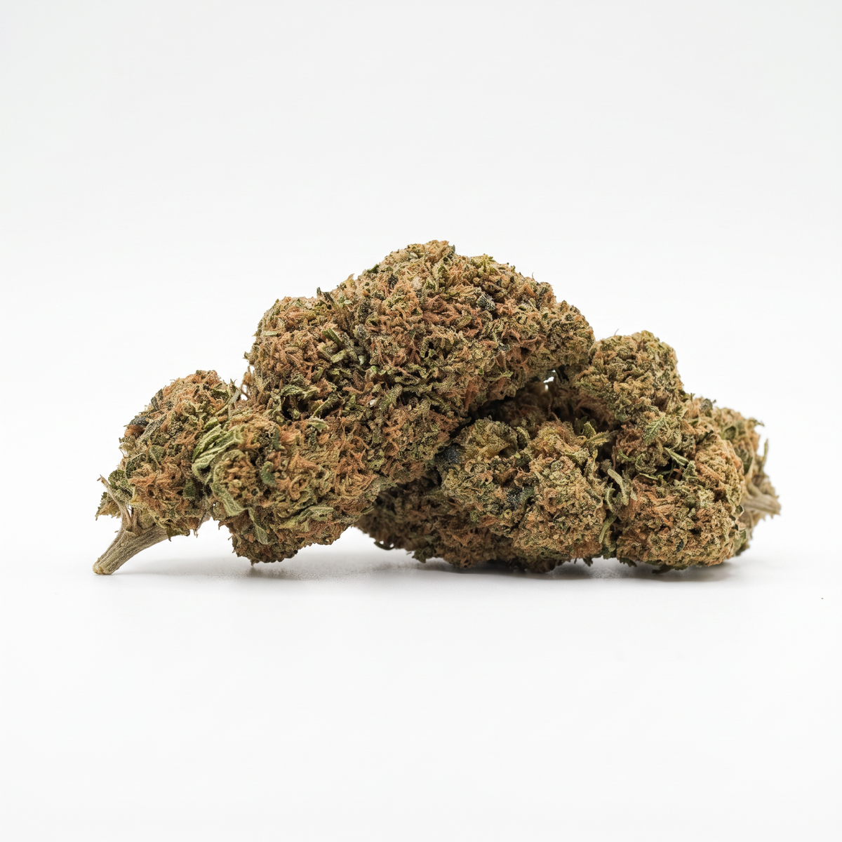 Caramel Candy Big Bud