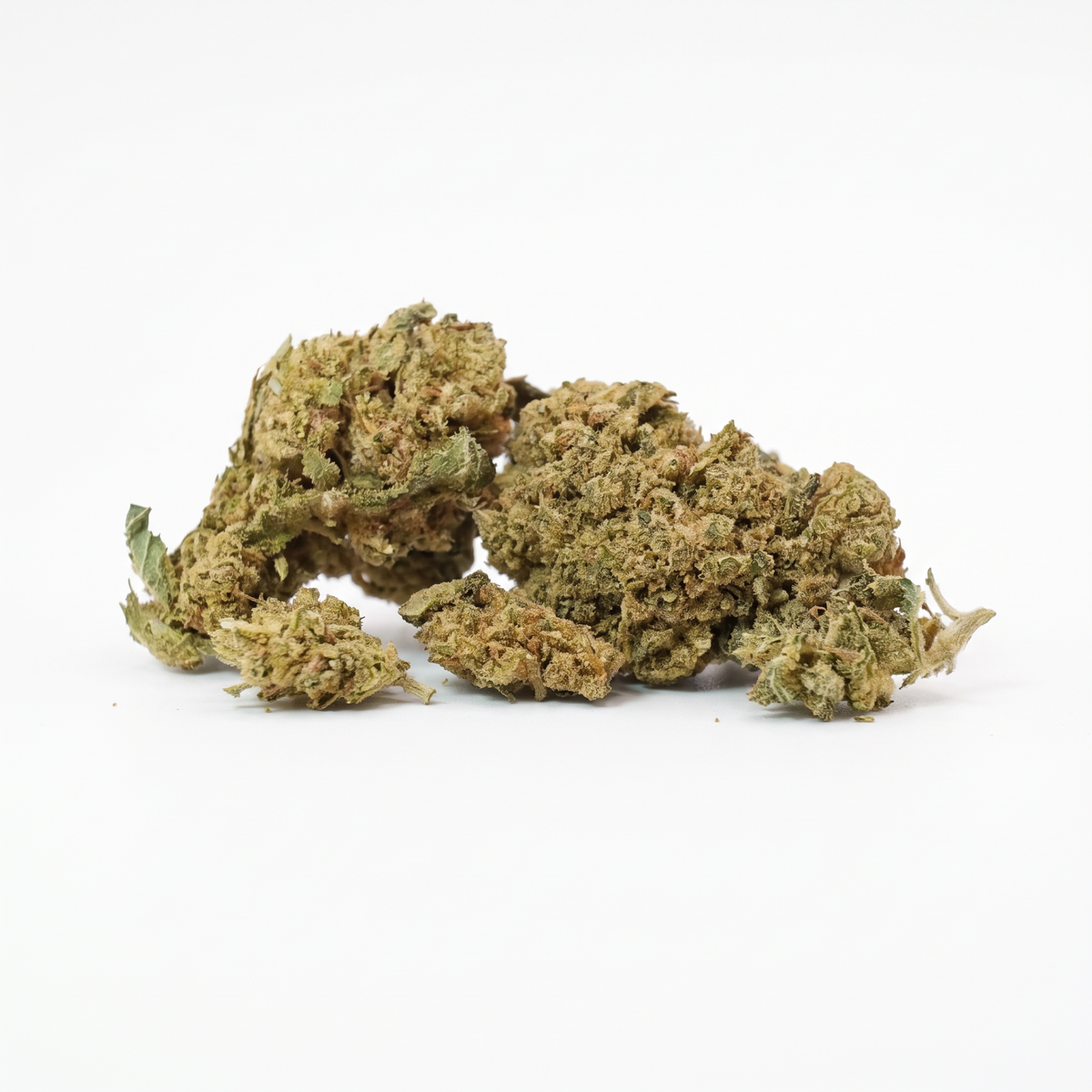 Caramel Candy Mini Bud