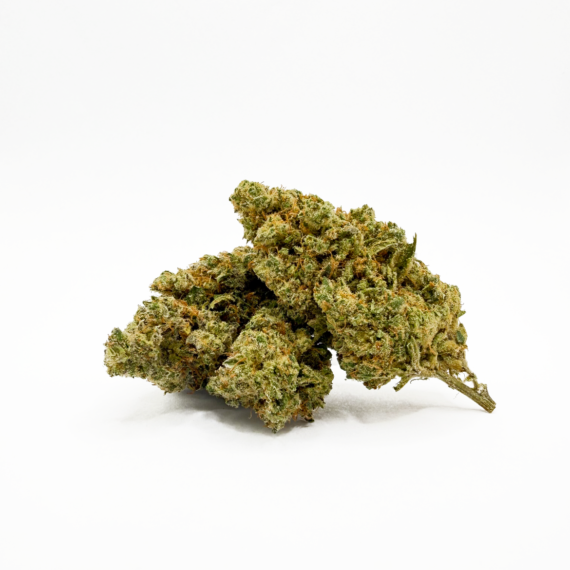 BUBBLEGUM MAX (Copy)