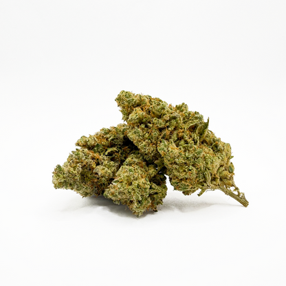 BUBBLEGUM MAX (Copy)