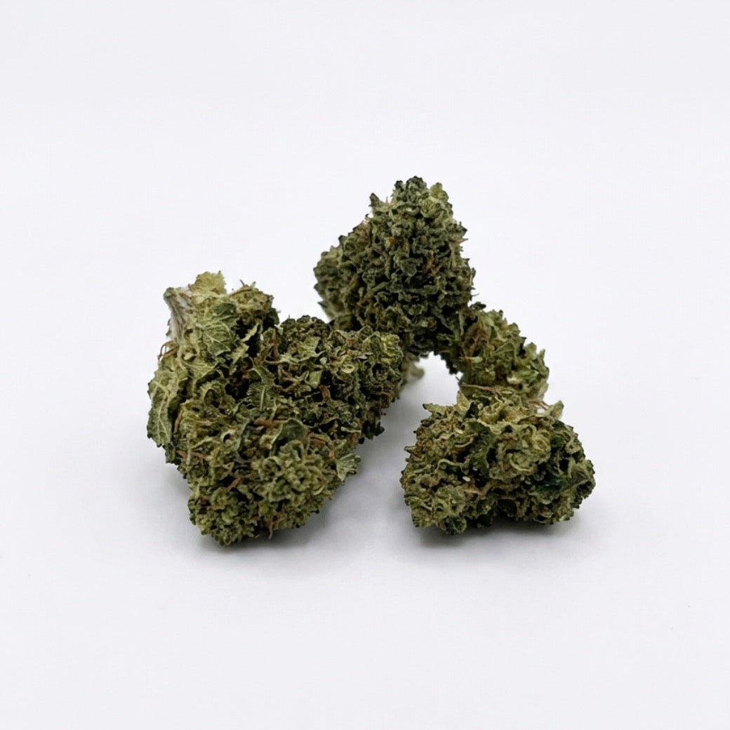MINI BUD AMR