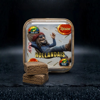 HOLLANDAIS AMR