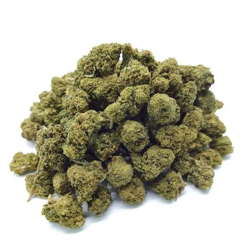 🌳 MR. BIG BUD – PROMO (20€ / 10g)