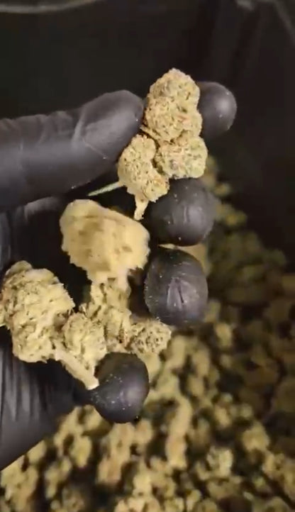 🌳 MR. BIG BUD – PROMO (20€ / 10g)