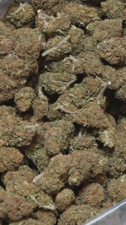 Caramel Candy Big Bud