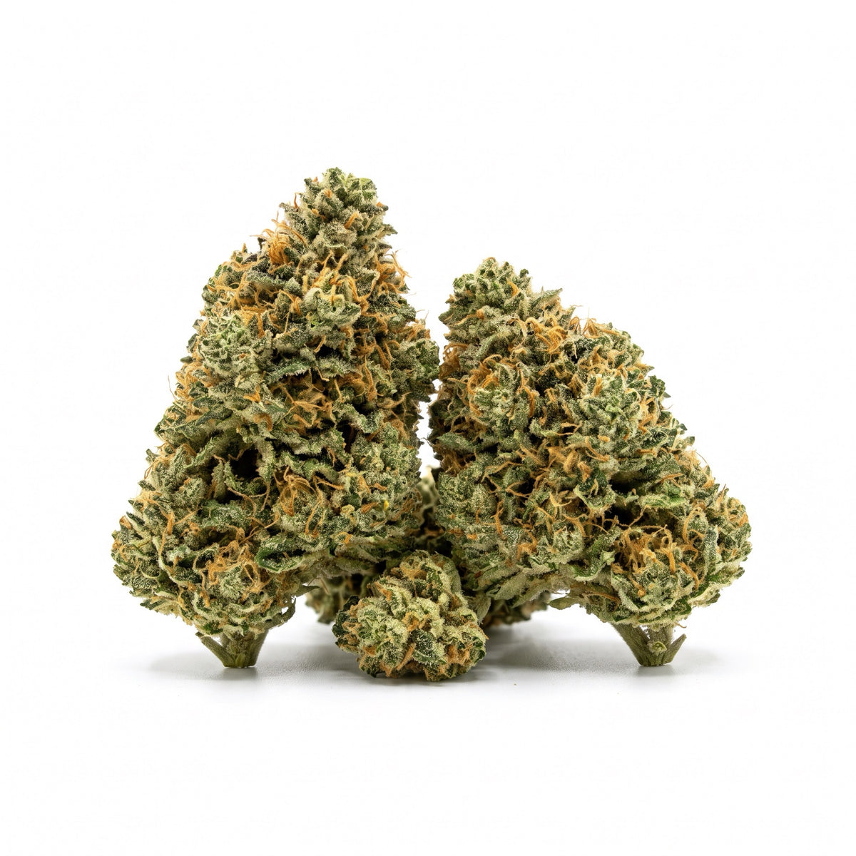 Bourgeons de fleur CBD Scream - photo produit sur fond blanc
